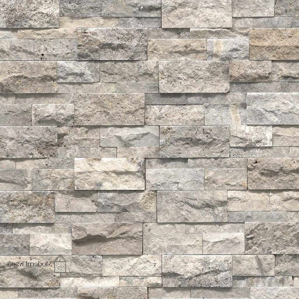 27 Silver Tile Ideas Trending on Pinterest This Year 1 featured 2267