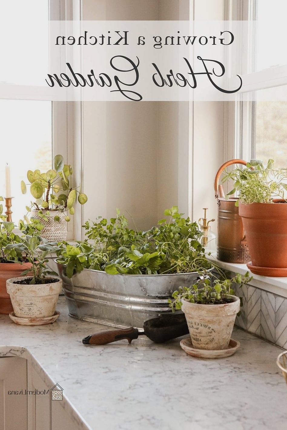 Floral Herb Garden Window Setup