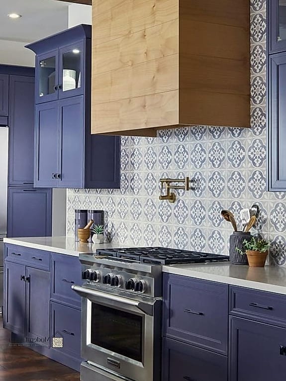 Stainless Steel With Navy Cabinets