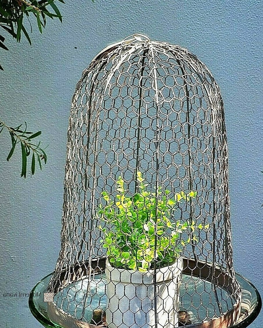 Wire Cloche Pendant or Cage Lighting