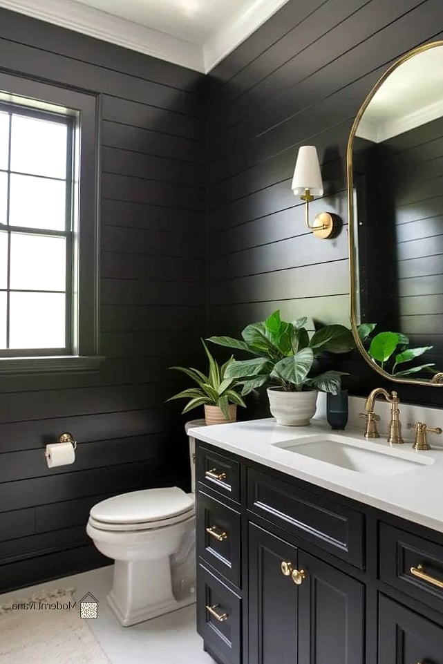 Black Shiplap Walls