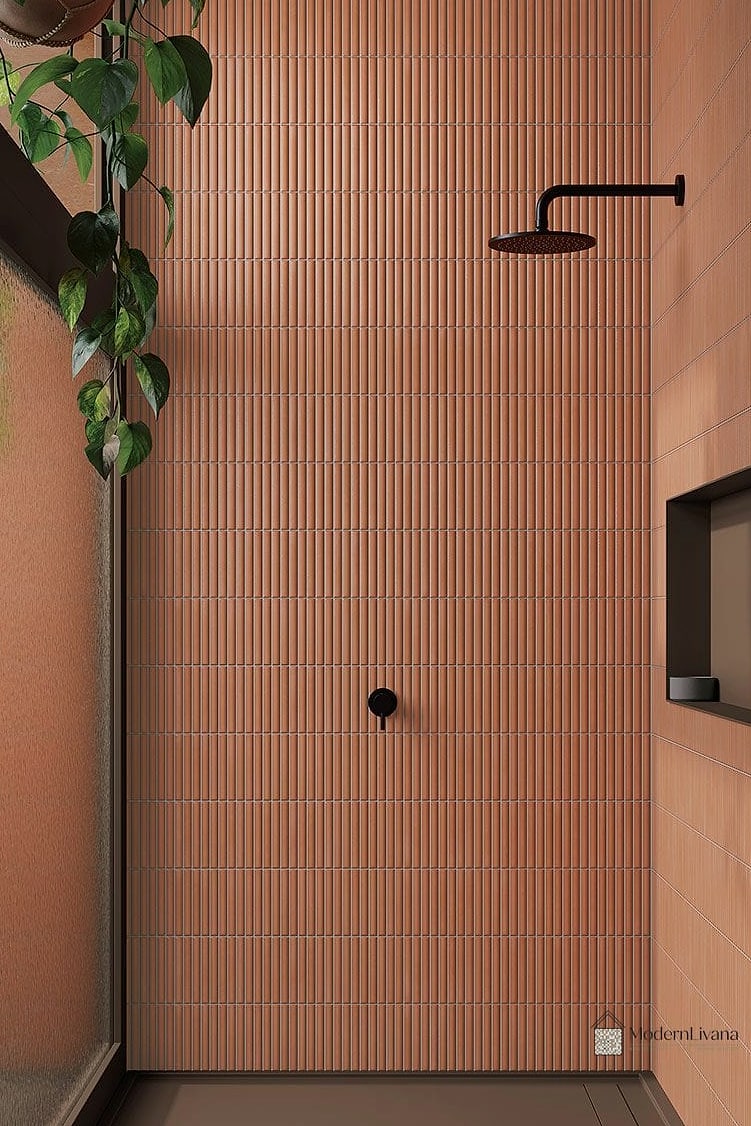 Black and Terracotta Color Palette
