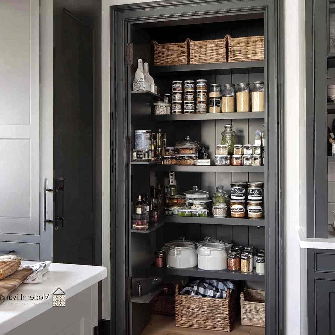 21 Modern Kitchen Ideas for Every Home Style and Budget 7 Built-In Pantry Cabinets with Pull-Out Drawers