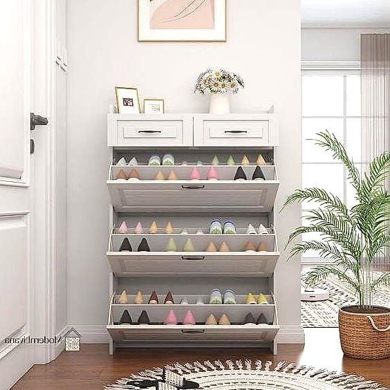 Flip-Down Door Shoe Cabinet