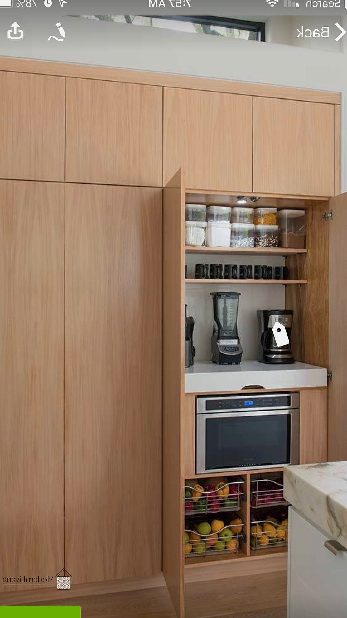 Hidden Appliance Panels