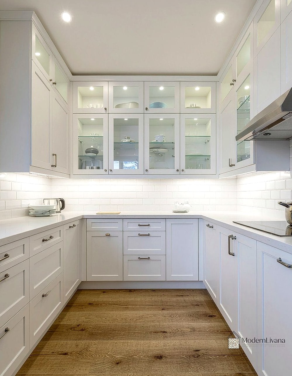 Raised Panel Cabinets with Glass Fronts