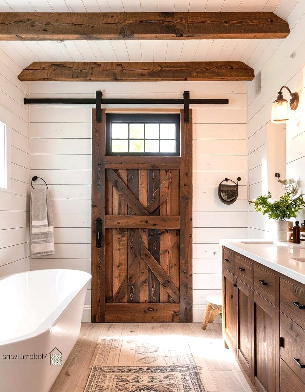 Shiplap with a Barn Door