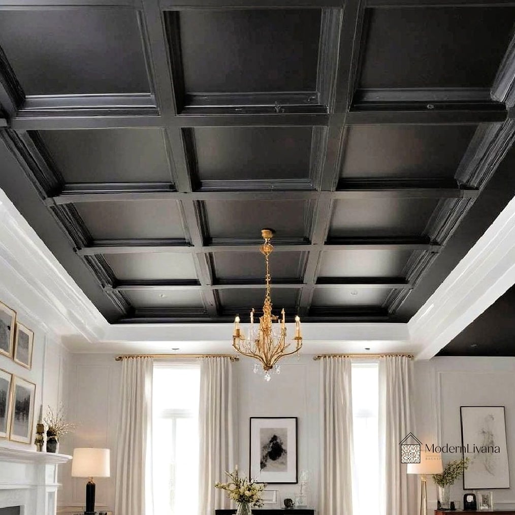 White Kitchen with Black Ceiling